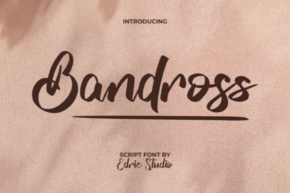 Bandross: A Bold Script Font for Modern Branding