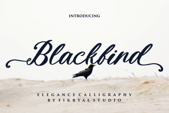 Blackbird: An Assertive Script for Impactful Design