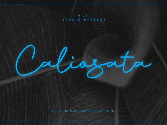 Caliosata: The Perfect Blend of Sweet and Sophisticated