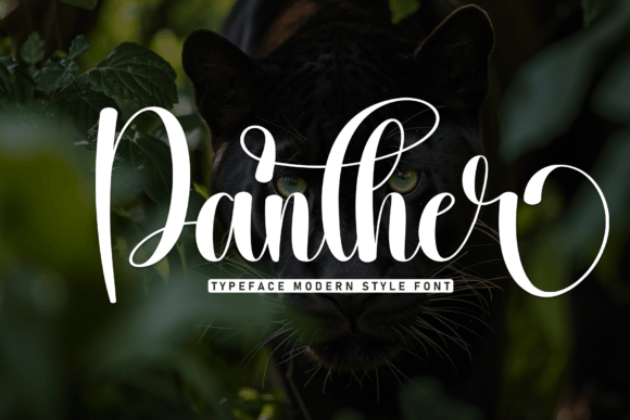 The Elegant Edge: Using the Panther Script Font